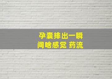 孕囊排出一瞬间啥感觉 药流